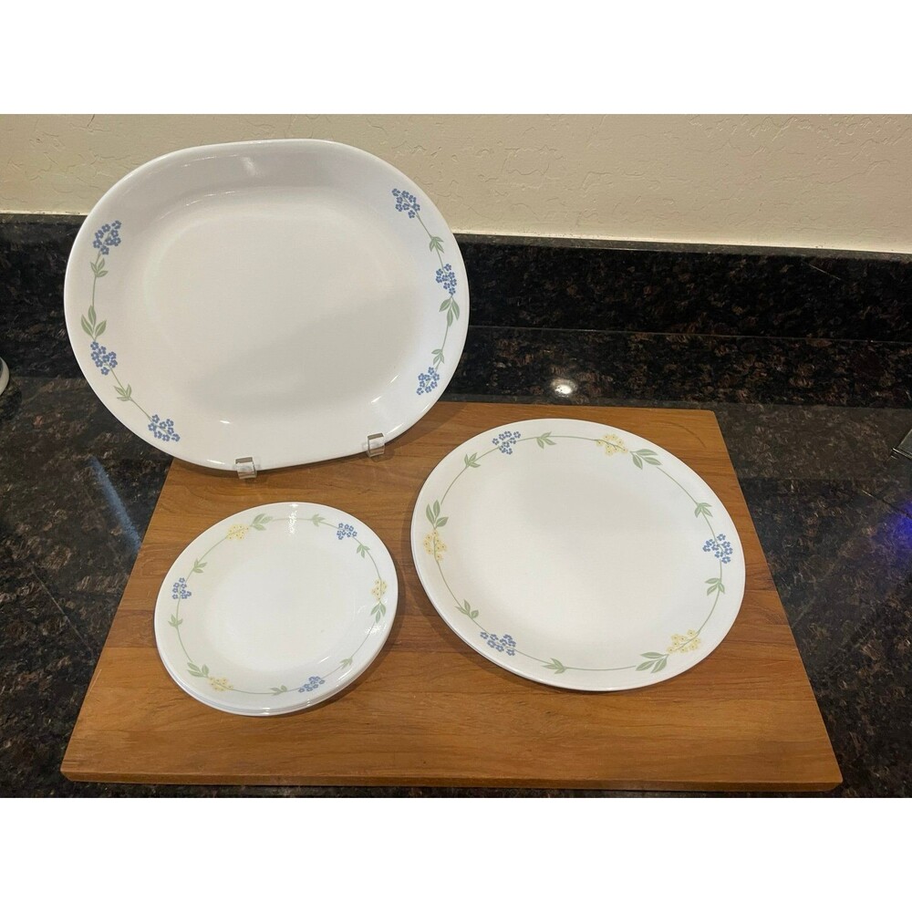 Corelle SECRET GARDEN Dinner Plates set up